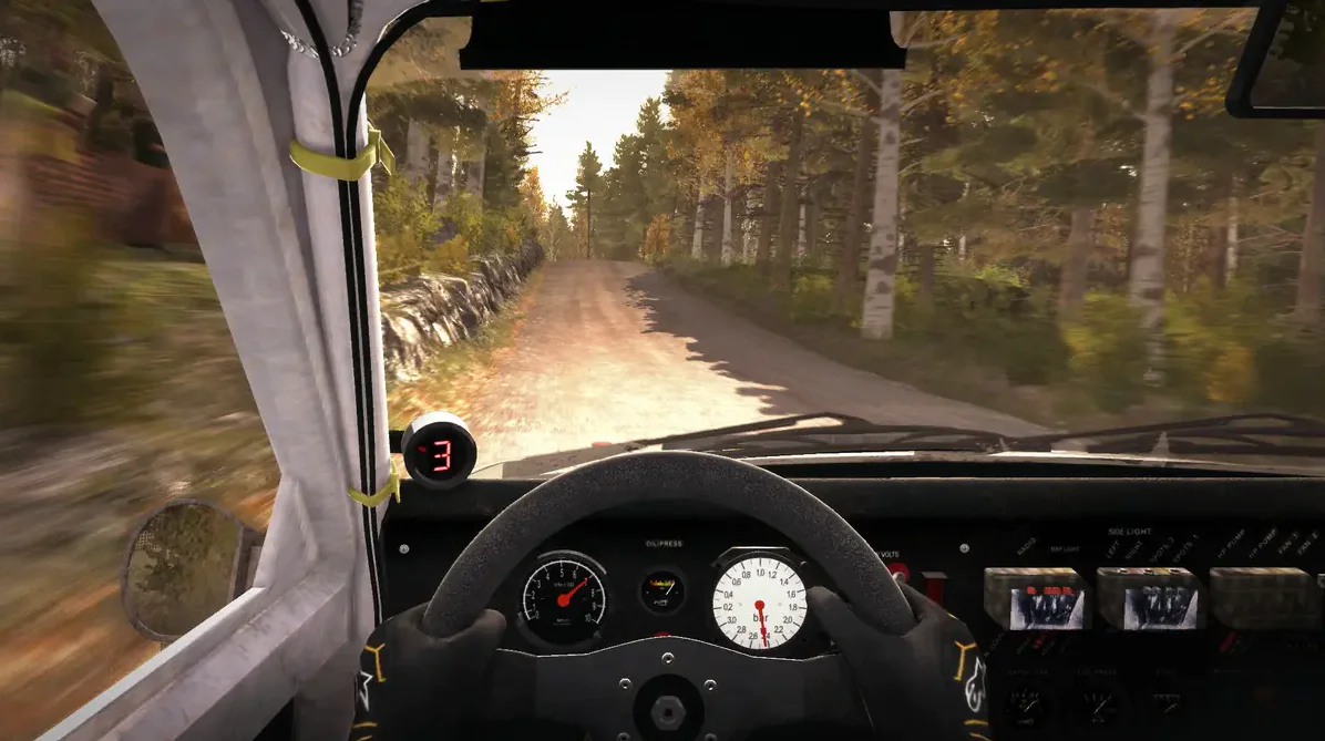 DiRT Rally first person