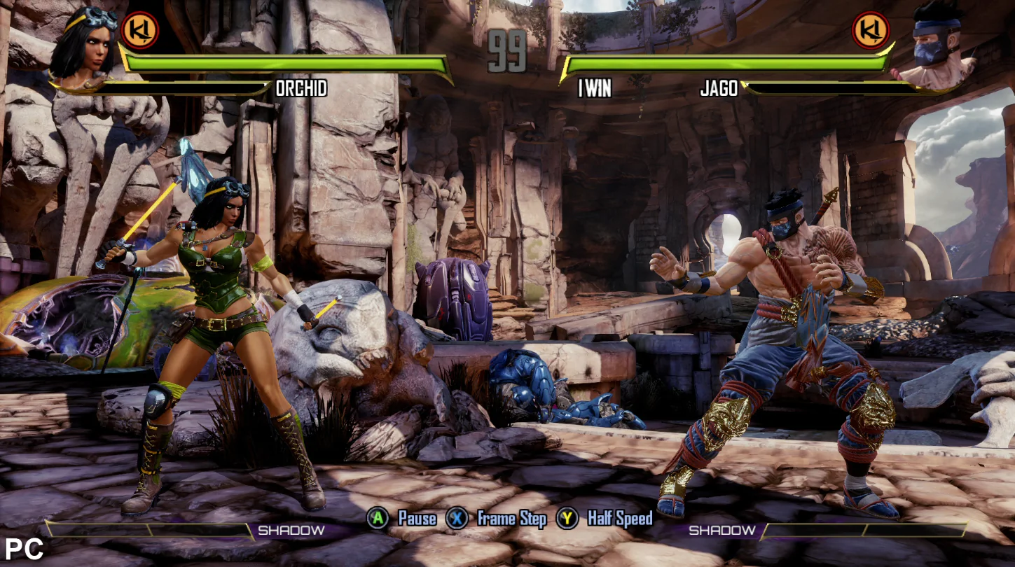 Killer Instinct fight on PC